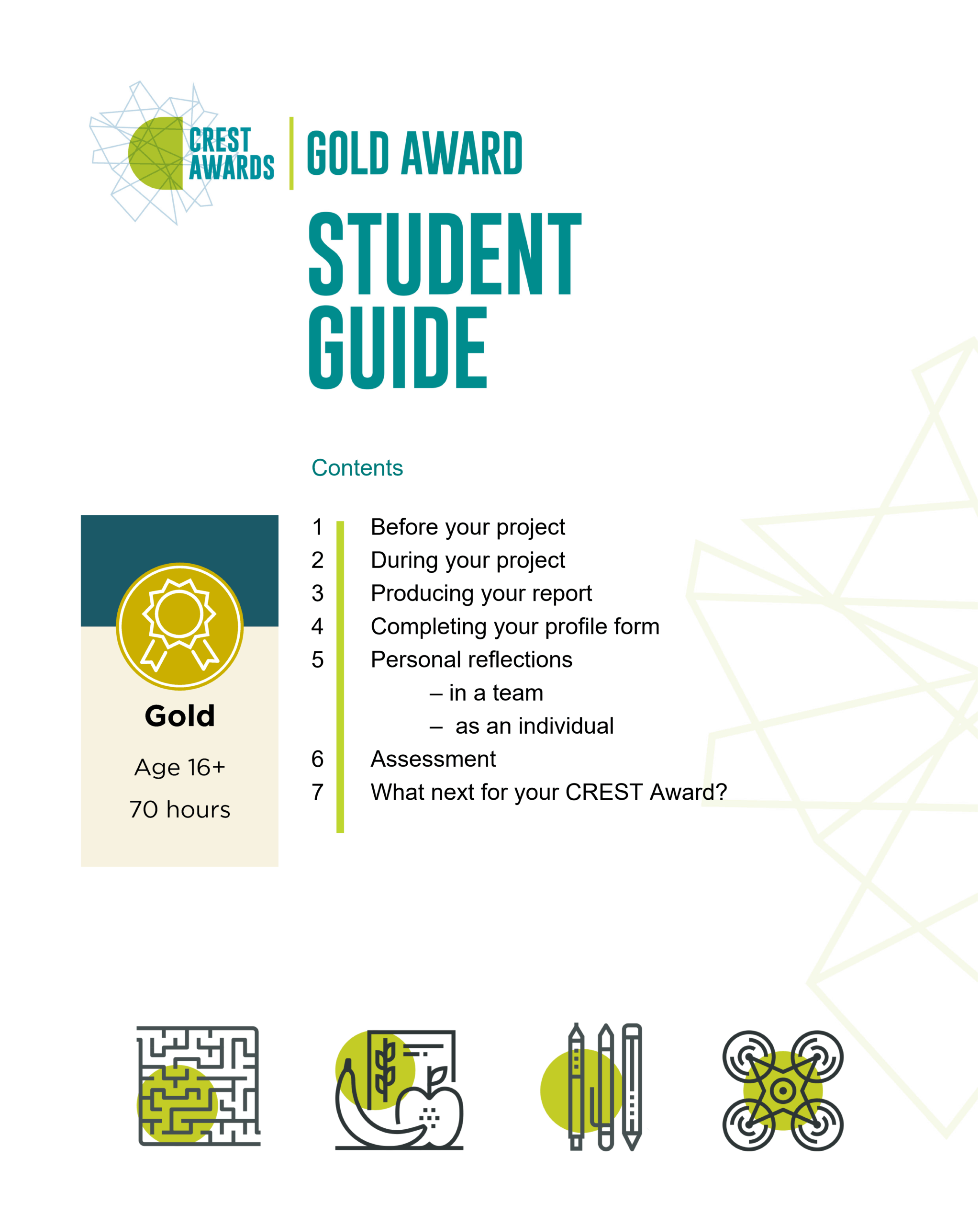 STEAMax Gold Award