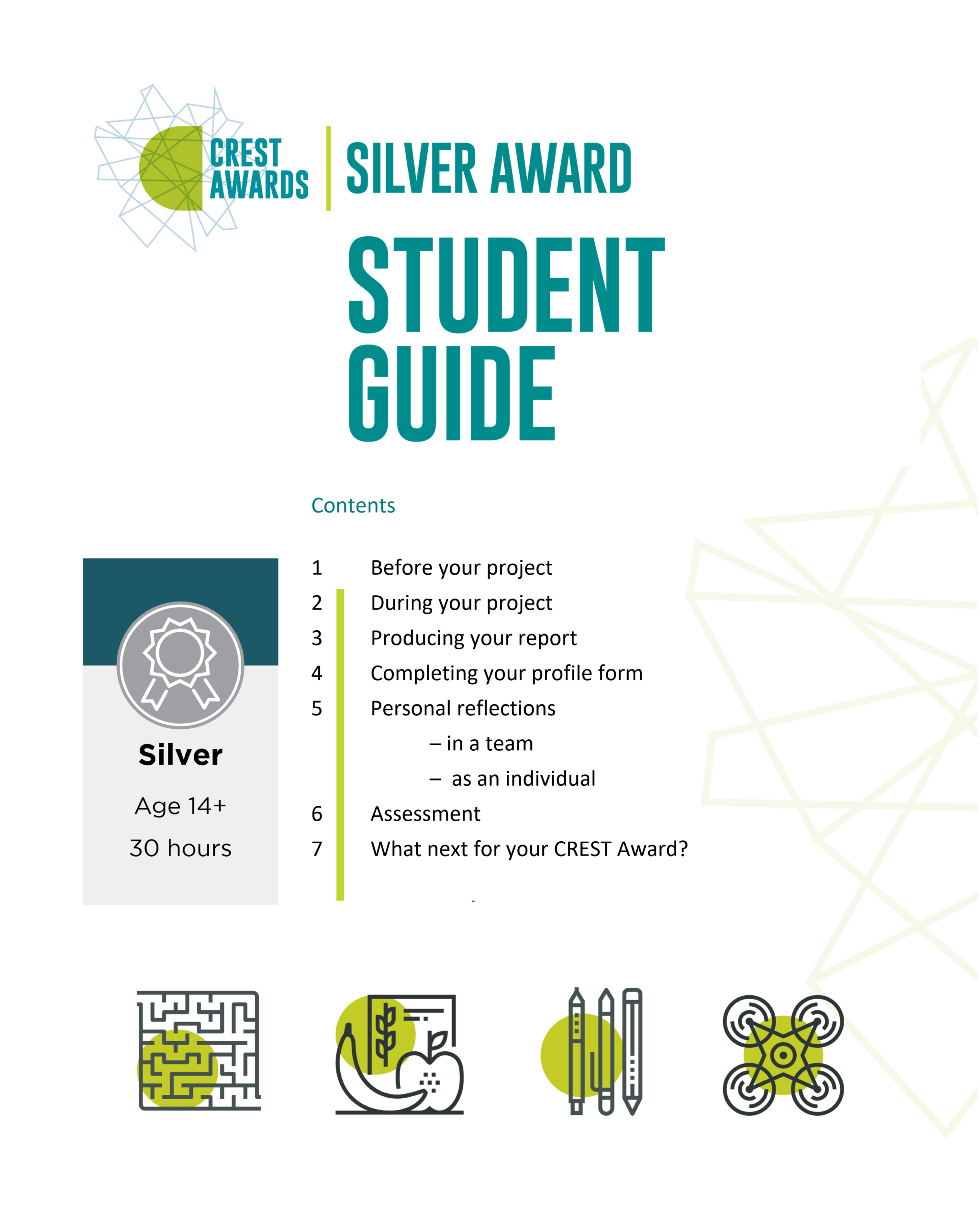 STEAMax Silver Award
