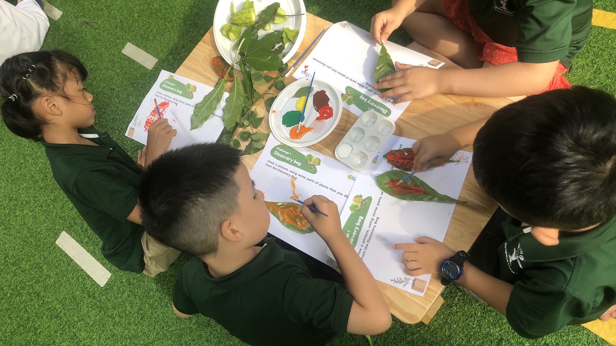 Chương trình STEM